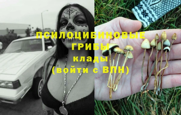 spice Верхний Тагил