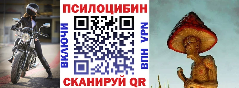 Купить где  Октябрьск  Галлюциногенные грибы Psilocybine cubensis 